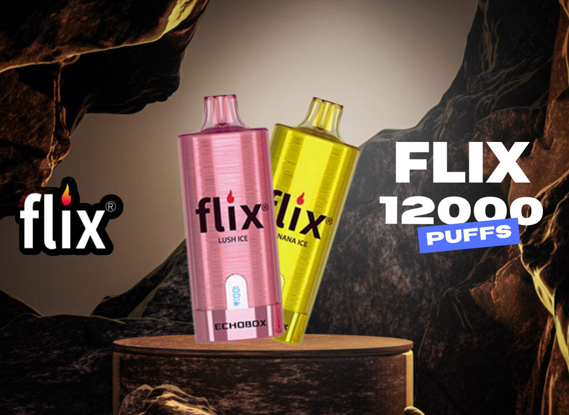 Flix 12,000 Puffs