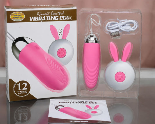 Vibrating Egg Remote Control