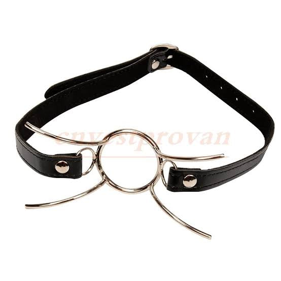 MOUTH GAG WITH OPENING AND STOPPER