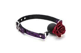MOUTH GAG -ROSE