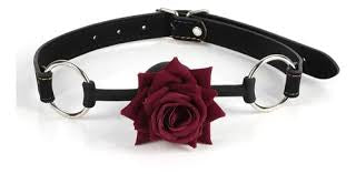 MOUTH GAG -ROSE